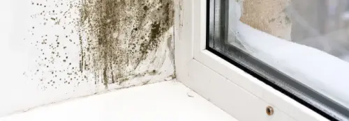 Mold -Remediation--in-Gainesville-Georgia-mold-remediation-gainesville-georgia.jpg-image