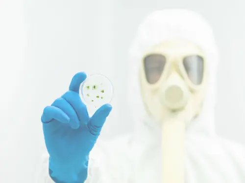 Mold Testing